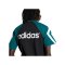 adidas FC Liverpool T-Shirt 95 Schwarz - schwarz