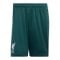 adidas FC Liverpool Torwartshort Home 2026/2027 Grün - gruen