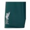 adidas FC Liverpool Torwartshort Home 2026/2027 Kids Grün - gruen