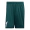 adidas FC Liverpool Torwartshort Home 2026/2027 Kids Grün - gruen