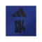 adidas FC Schalke 04 Essentials Jogginghose Kids Blau - blau