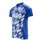 adidas FC Schalke 04 Prematch Trainingsshirt Blau - blau