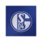 adidas FC Schalke 04 Prematch Sweatshirt Blau - blau