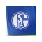 adidas FC Schalke 04 Short 3rd 2026/2027 Blau - blau