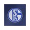 adidas FC Schalke 04 Team Polo Blau - blau