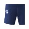 adidas FC Schalke 04 Team Short Kids Blau - blau