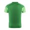adidas FC Schalke 04 Team Trainingsshirt Grün - gruen