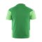 adidas FC Schalke 04 Team Trainingsshirt Kids Grün - gruen