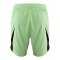 adidas FC Schalke 04 Torwartshort 2025/2026 Grün - gruen