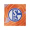 adidas FC Schalke 04 Torwartshort 2026/2027 Orange - orange