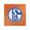 adidas FC Schalke 04 Torwarttrikot 2026/2027 Orange - orange
