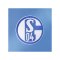 adidas FC Schalke 04 Short Blau - blau