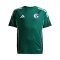 adidas FC Schalke 04 Trainingshirt Kids Grün - gruen