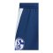 adidas FC Schalke 04 Trainingshose Dunkelblau - blau