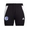 adidas FC Schalke 04 Trainingshose Schwarz - schwarz