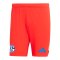 adidas FC Schalke 04 TW-Short 2024/2025 Rot - rot
