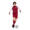 adidas FEF Spanien Prematch Sweatshirt WM 2026 Rot - rot