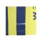 adidas Fenerbahce Istanbul Trikot Home 2026/2027 Kids Gelb - gelb