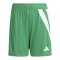 adidas Fortore 23 Short Kids Grün Weiss - gruen