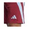 adidas Fortore 23 Short Rot Blau - rot