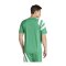 adidas Fortore 23 Trikot Grün Weiss - gruen