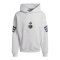 adidas Fortuna Düsseldorf Hoody Grau - grau