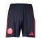 adidas Fortuna Düsseldorf Short 3rd 2025/2026 Blau - blau