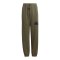 adidas Sportswear Future Iconspants Jogginghose Kids Grün - gruen