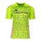 adidas Generation Predator Training Trikot Grün - gruen