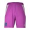 adidas Hamburger SV Torwartshort 2025/2026 Lila - lila