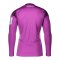 adidas Hamburger SV Torwarttrikot 2025/2026 Lila - lila