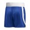 adidas Iconic Squad Short Blau - blau