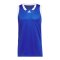 adidas Iconic Squad Trikot Blau - blau