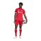 adidas FC Liverpool Authentic Trikot Home 2025/2026 Rot - rot