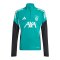 adidas FC Liverpool European Training Sweatshirt 2025/2026 Kids Grün - gruen