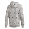 adidas Must Haves Graphic Hoody Grau - grau