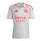 adidas Olympique Lyon Trikot 3rd 2025/2026 Grau - grau