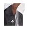 adidas Originals Adicolor Jacquard Short Schwarz - schwarz