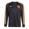 adidas Originals Ajax Amsterdam Trikot Langarm Schwarz - schwarz