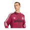 adidas Originals Blokecore Longsleeve Rot - rot