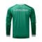 adidas Originals Fortuna Düsseldorf Torwarttrikot 2026/2027 Grün - gruen