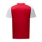 adidas Originals Fortuna Düsseldorf WarmUp T-Shirt 2026/2027 Rot - rot