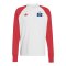 adidas Originals Hamburger SV Longsleeve Rot - rot
