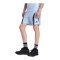 adidas Originals Teamgeist Short Blau - blau