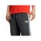 adidas Originals 1. FC Union Berlin Track Hose Grau - grau
