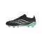 adidas Predator Elite FG Final Rush Schwarz - schwarz
