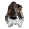 adidas Predator Elite FT FG Wales Bonner Braun - braun