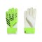 adidas Predator Glove Training Torwarthandschuhe Kids Grün - gruen