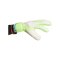 adidas Predator Celestial Victory Match FS Torwarthandschuhe Weiss - weiss