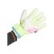 adidas Predator Celestial Victory Match FS Torwarthandschuhe Weiss - weiss